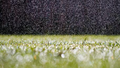 Hot summer rain wallpaper