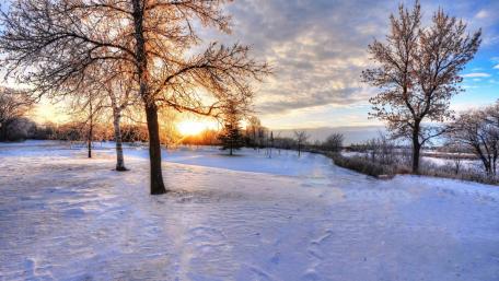Serene Winter Sunrise Over Snowy Landscape wallpaper
