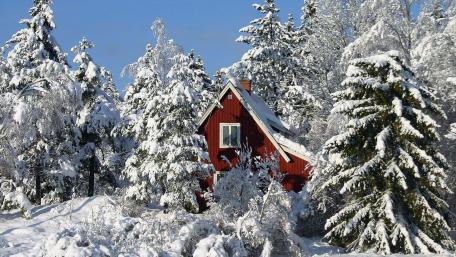 Winter Cottage Amidst Snowy Pines Retreating into Nature's Embrace wallpaper