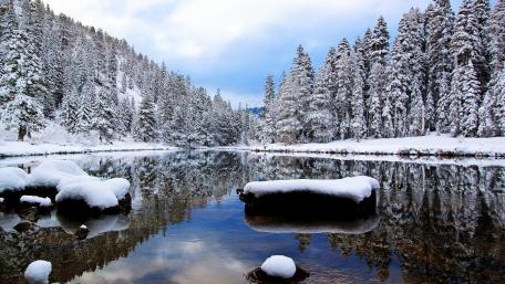 Winter Reflections in a Serene Landscape wallpaper