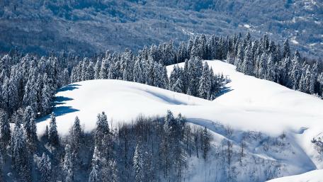 Serene Winter Wonderland Scene wallpaper