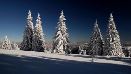 Winter Wonderland Blissful Scene wallpaper