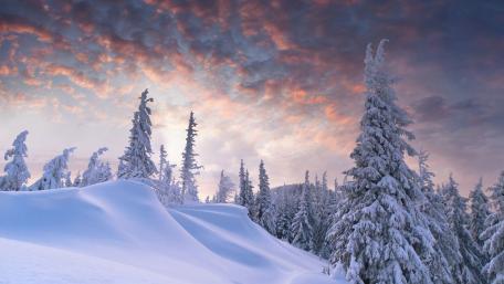 Winter Wonderland Under a Painted Sky wallpaper