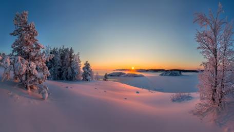 Pink snow wallpaper