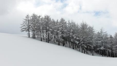 Winter's Tranquil Embrace Over Snowy Hillside wallpaper