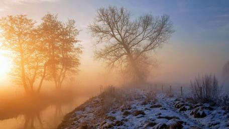 Misty Winter Morning by the Canal wallpaper