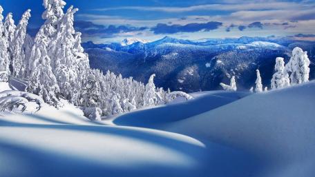 Serene Winter Wonderland Scene wallpaper