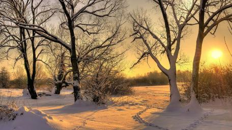 Winter's Golden Sunrise wallpaper