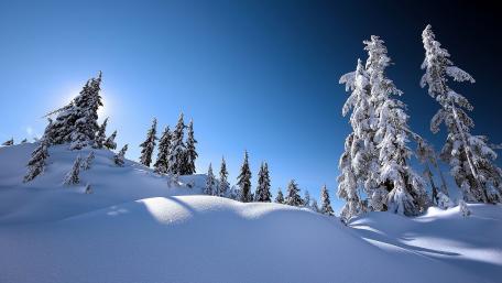 Serenity in Winter Wonderland wallpaper