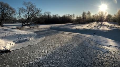 Winter's Frozen Tranquility wallpaper