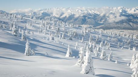 Winter Wonderland in Mountains wallpaper