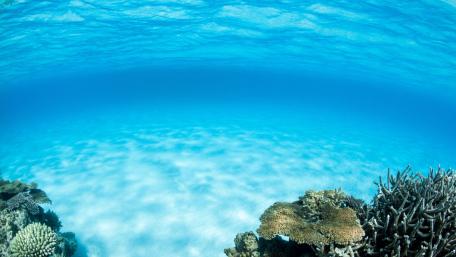 Tranquil Blue Waters of the Caribbean wallpaper