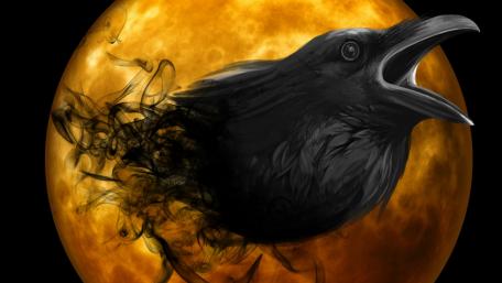 Crow in the full moon wallpaper