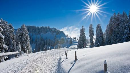 Serene Winter Wonderland Landscape wallpaper