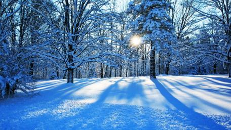 Majestic Winter Wonderland Scene wallpaper