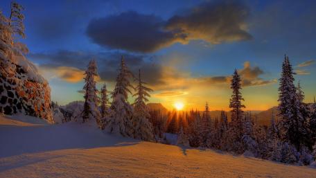 Winter's Golden Embrace at Sunset wallpaper