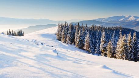 Majestic Winter Wonderland View wallpaper
