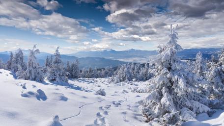 Winter Wonderland Serenity wallpaper