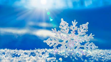 Winter Symphony of Blue Snowflakes wallpaper