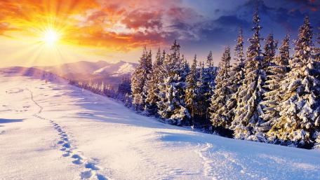 Traces of Solitude in Winter Wonderland wallpaper
