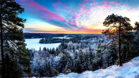Serene Winter Wonderland at Dusk wallpaper