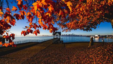 Vancouver at fall wallpaper