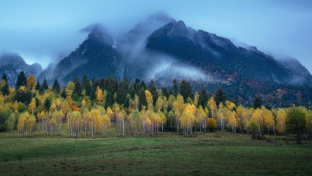 Majestic Mountains and Autumn Forest Scene wallpaper