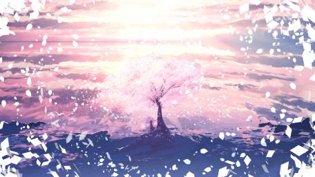 Whispers of Spring Beneath Cherry Blossoms wallpaper