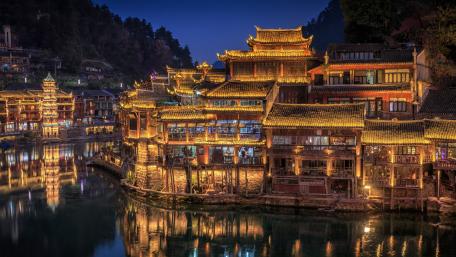 Fenghuang wallpaper