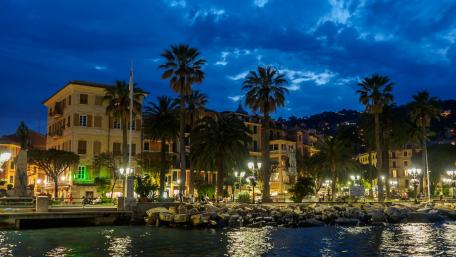 Tropical Night Oasis by the Waterfront wallpaper