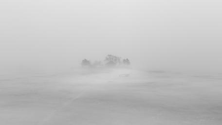 Whispering Winter Solitude wallpaper