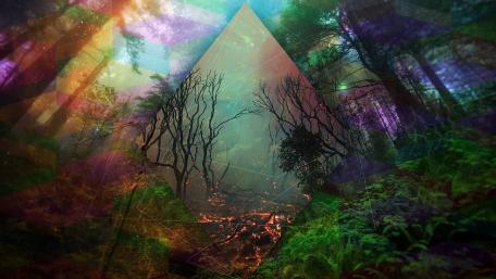 Fantasy forest fire wallpaper