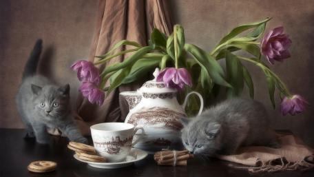 Whimsical Tea Time with Playful Kittens wallpaper