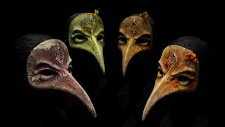Bird masks wallpaper