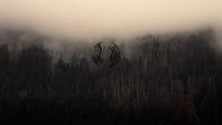 Mysterious Forest Embrace wallpaper