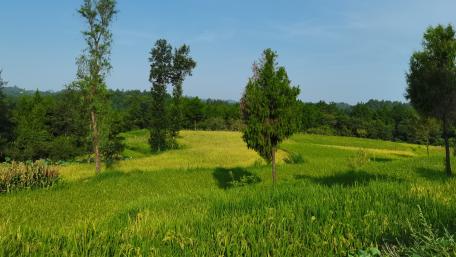 Idyllic scenery wallpaper