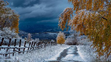 Fall snow wallpaper