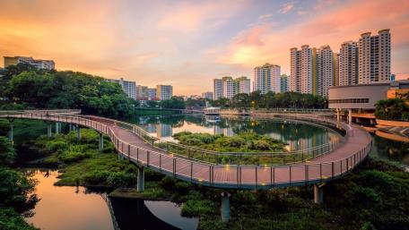 Pang Sua Pond wallpaper