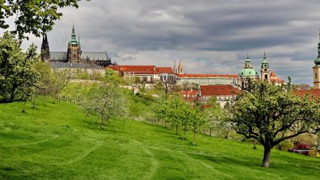 Prague's Historic Skyline Among Lush Greenery wallpaper