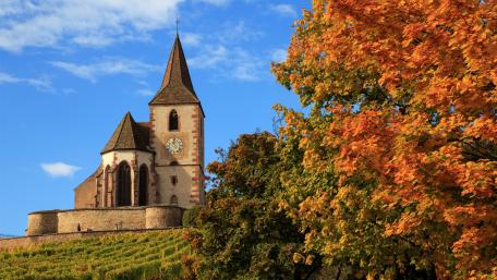 Autumn Serenity in a Charming Temple wallpaper