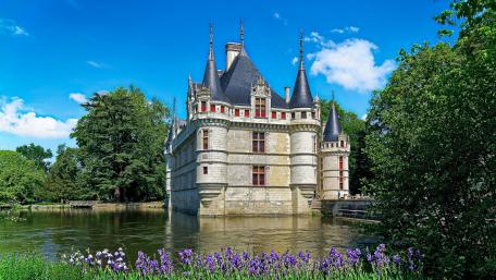 Majestic Château d'Azay-le-Rideau Surrounded by Nature wallpaper