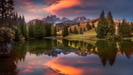Almsee wallpaper