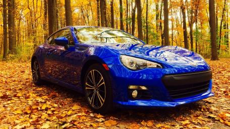 Autumn Adventure with a Dream Car in the Forest wallpaper