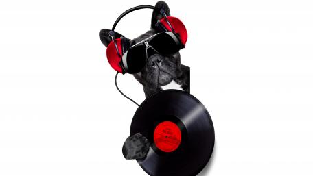 DJ Dog Grooves with Style wallpaper