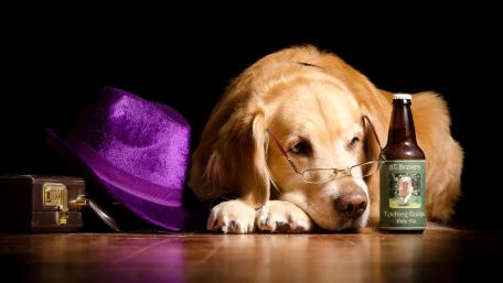 Charming Dog with Glasses and Hat wallpaper