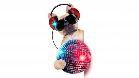 French bulldog DJ wallpaper