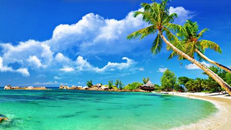 Quang Nam beach wallpaper