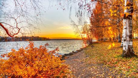River at fall wallpaper