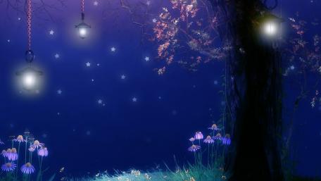 Enchanted Night Garden wallpaper