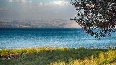 Sea of Galilee wallpaper